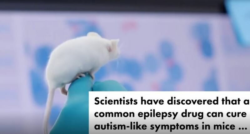 Scientists ‘switch off’ autism symptoms using $3 epilepsy drug in mice