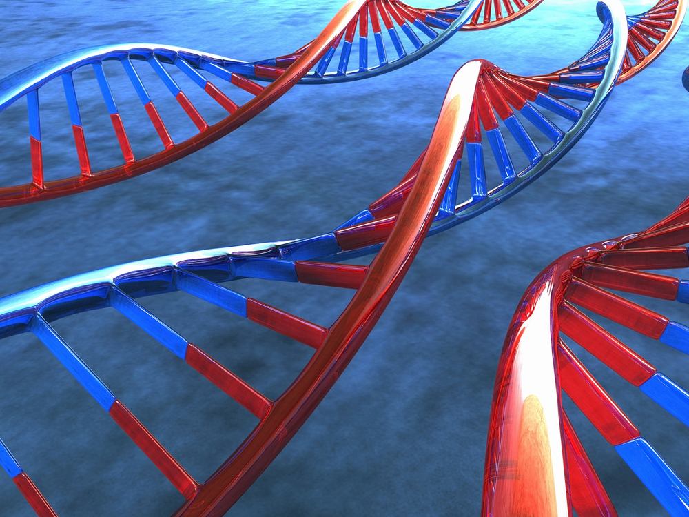 Genetic Analysis Links MicroRNAs to Diabetes in Humans