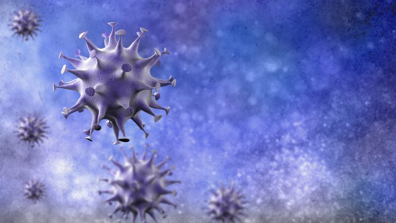 Can H3N2 Virus Influenza Turn Into The Next COVID-19 Pandemic?