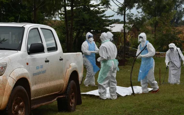 Five dead as Tanzania detects first-ever Marburg virus outbreak