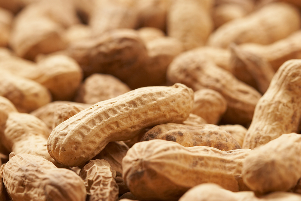Does maternal peanut consumption protect against infant peanut allergies?