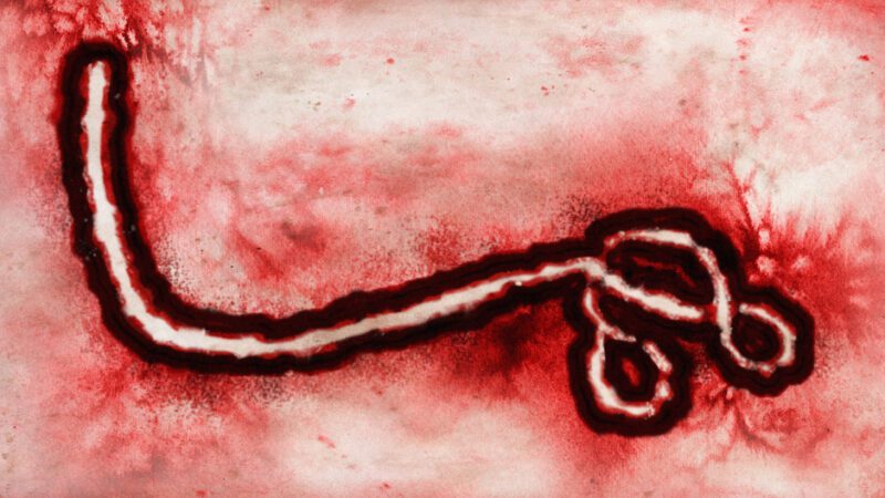 Uganda Ebola death toll rises to four