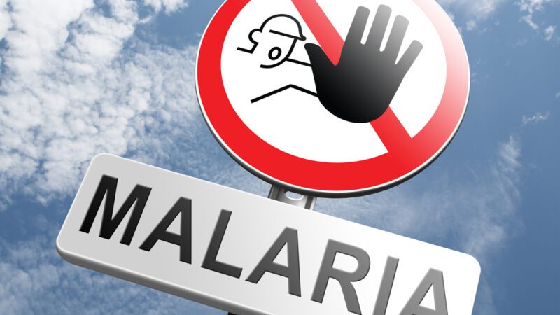 Cheaper, more effective malaria vaccine wins WHO approval